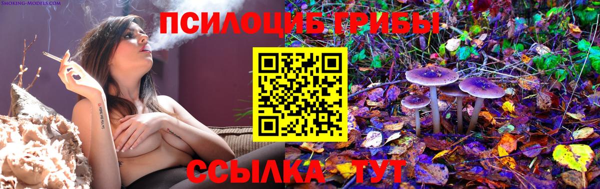 Галлюциногенные грибы MAGIC MUSHROOMS Нижний Новгород