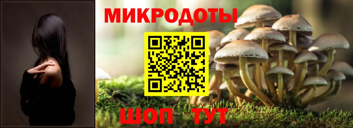 Нижний Новгород  Псилоцибиновые грибы MAGIC MUSHROOMS  Галлюциногенные грибы мухоморы  Вход с VPN 