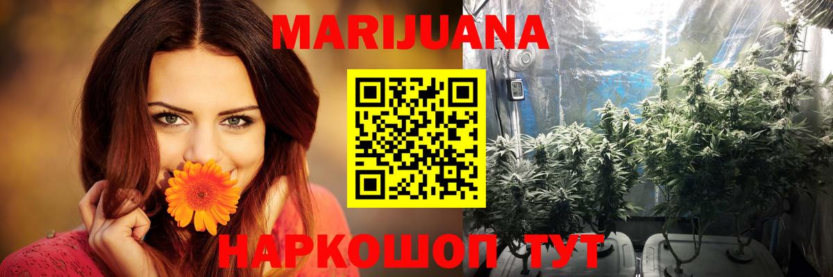 Канабис сатива Нижний Новгород
